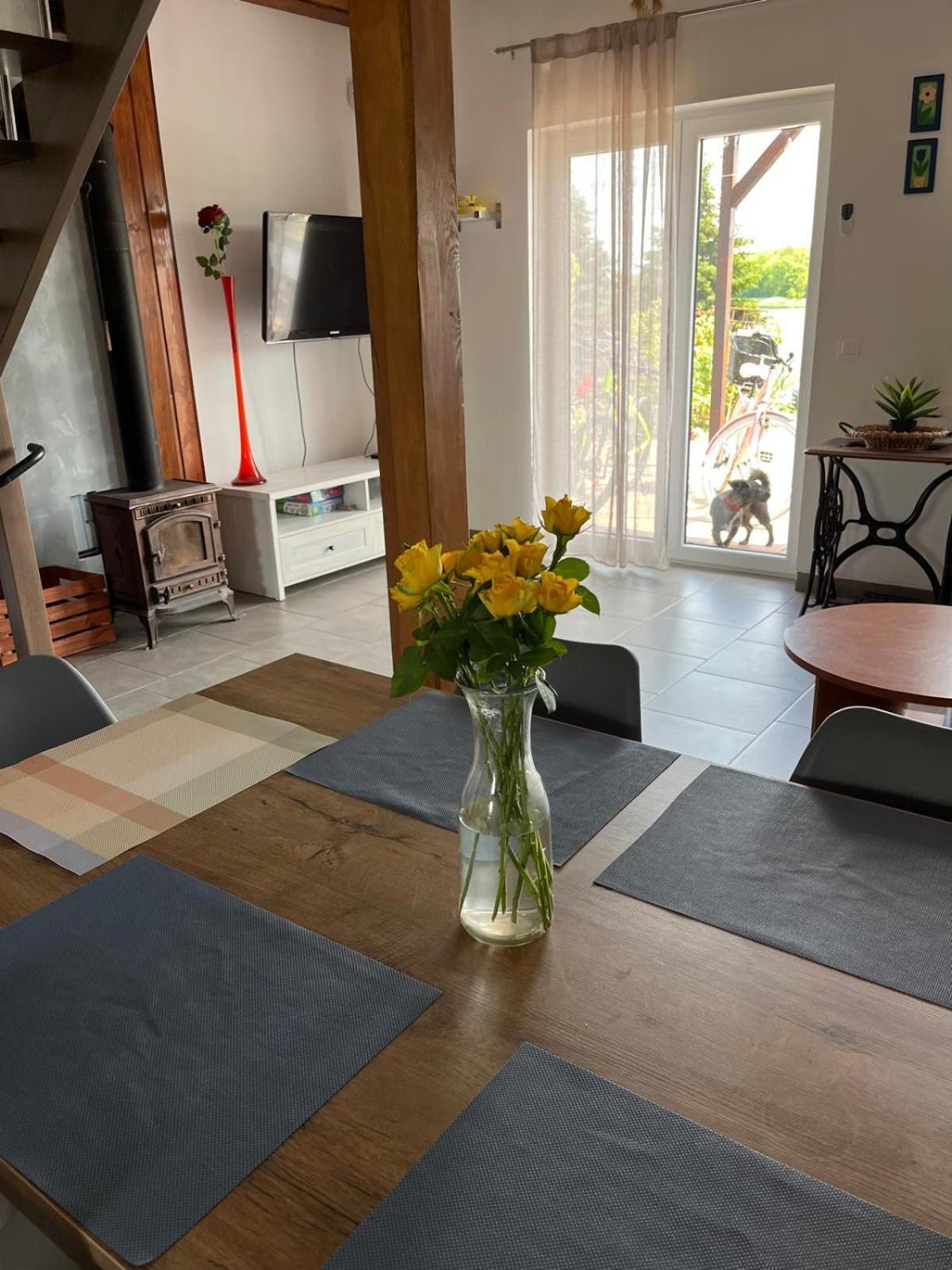 Mazurskie Wytchnienie Apartment Gizycko